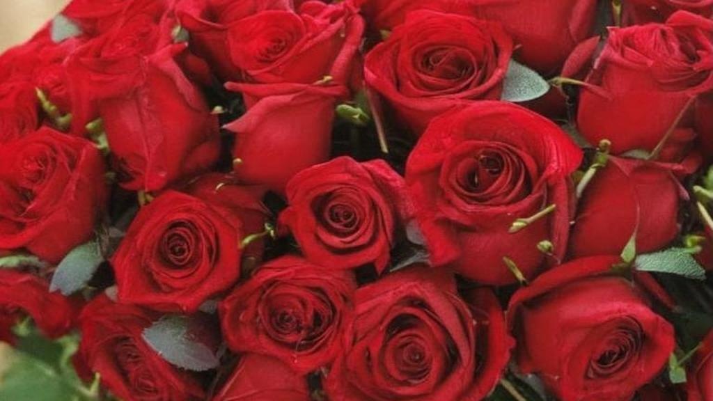 Нарциссы в браке: скрытая война за власть и её последствия